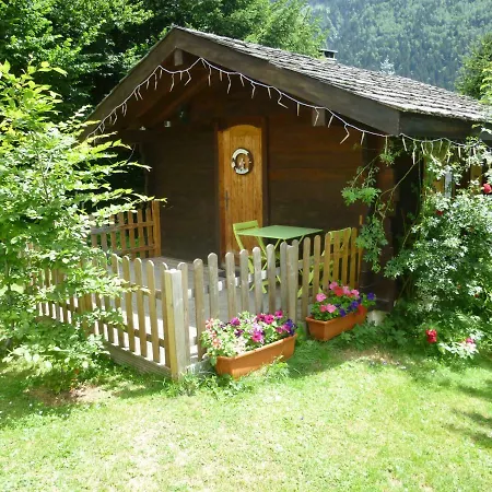Alpine Rose *