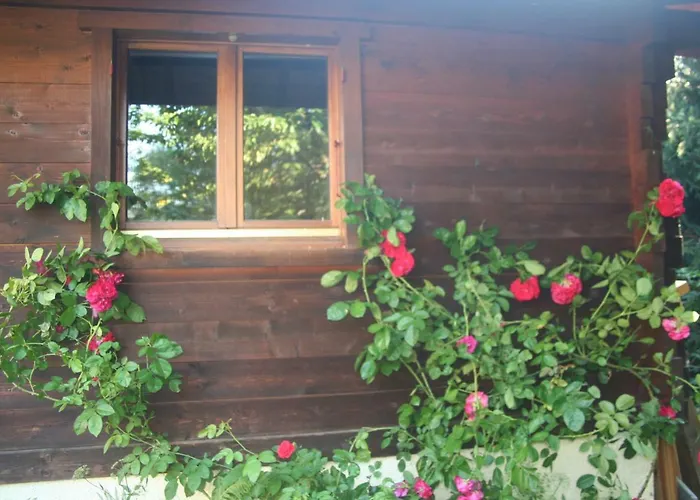 Alpine Rose * Chamonix